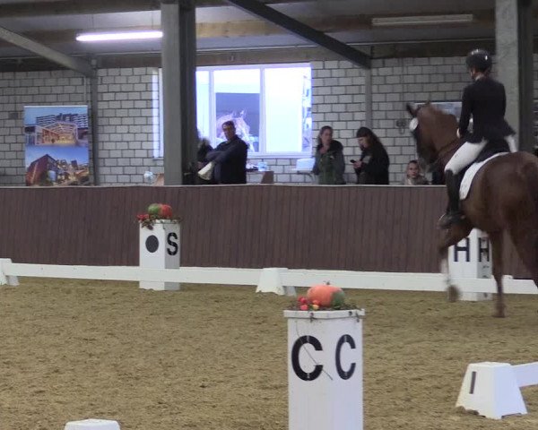 Reitturnier Kirchhellen 2022