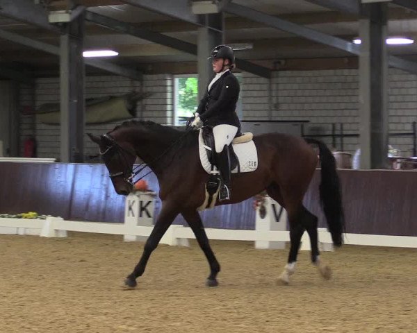 Reitturnier Kirchhellen 2022