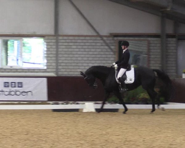 Reitturnier Kirchhellen 2022
