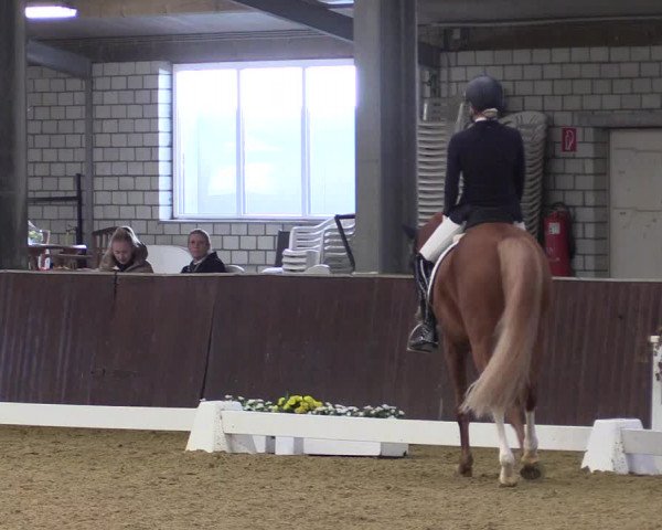 Reitturnier Kirchhellen 2022