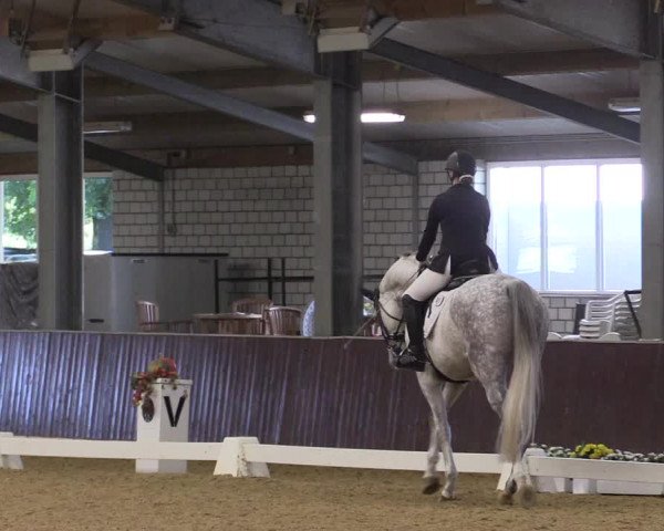 Reitturnier Kirchhellen 2022