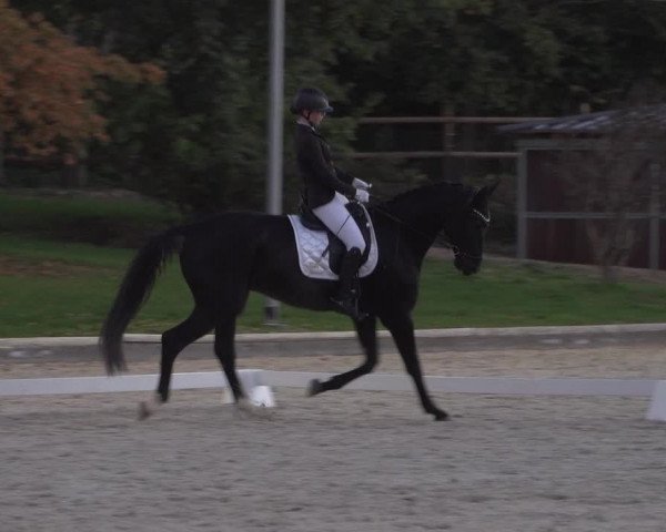 Reitturnier Troisdorf - Haus Rott 2022