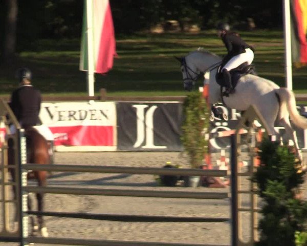 Reitturnier Westergellersen 2022