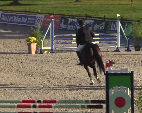 Reitturnier Westergellersen 2022