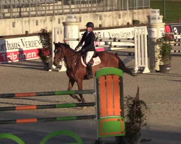 Reitturnier Westergellersen 2022