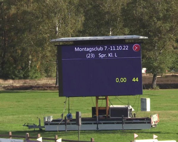 Reitturnier Westergellersen 2022