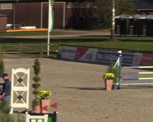 Reitturnier Westergellersen 2022