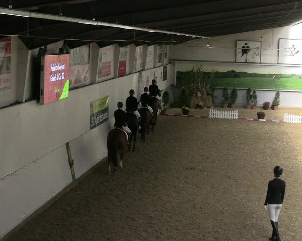 Reitturnier Legden 2022