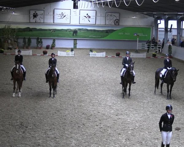 Reitturnier Legden 2022