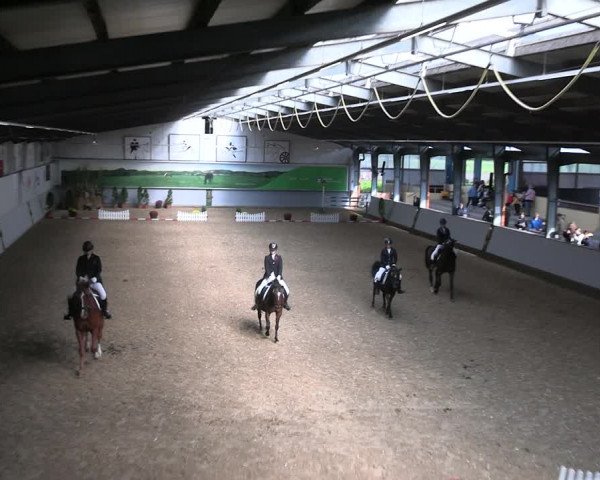 Reitturnier Legden 2022