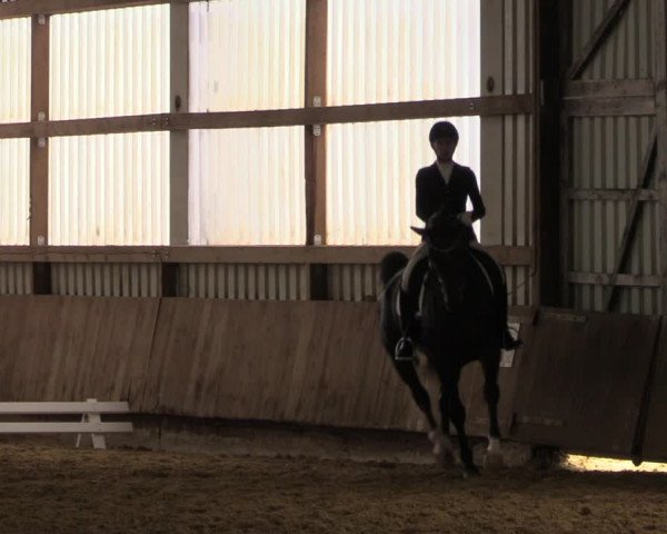Reitturnier Werdohl-Rentrop 2022