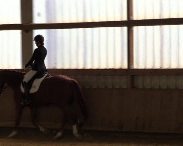 Reitturnier Werdohl-Rentrop 2022