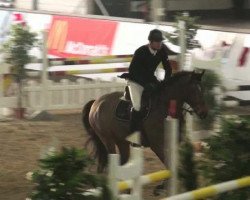 jumper Giaccomo (German Warmblood, 2003, from Golliath Life)