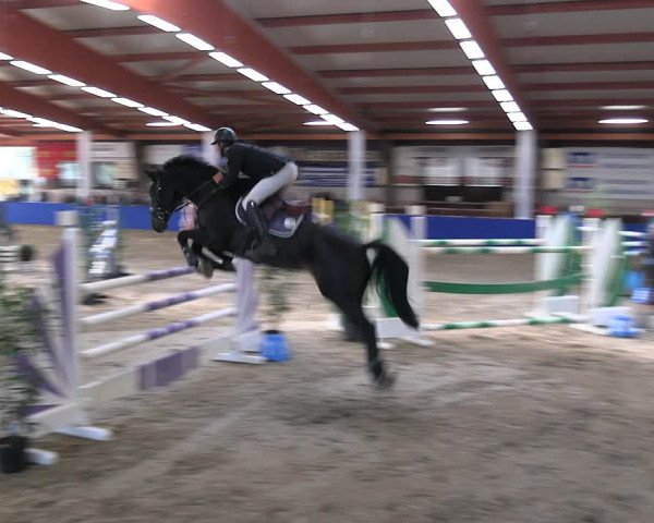 Reitturnier Isterberg Euregio Springturnier 2022