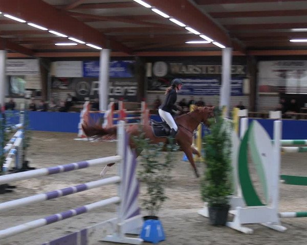 Reitturnier Isterberg Euregio Springturnier 2022