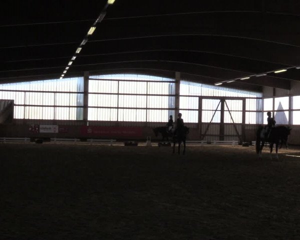 Reitturnier Werdohl-Rentrop 2022