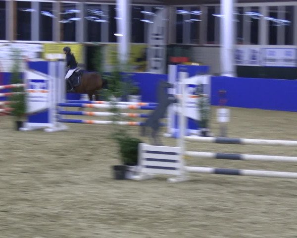 Reitturnier Isterberg Euregio Springturnier 2022
