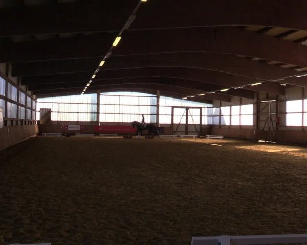 Reitturnier Werdohl-Rentrop 2022