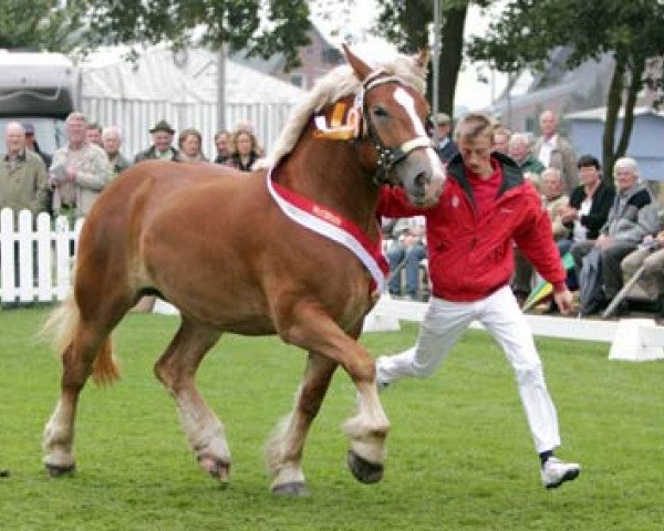 broodmare Erle (Rhenish-German Cold-Blood, 2008, from Erlander)