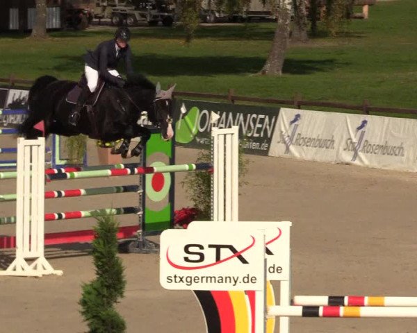 Reitturnier Westergellersen 2022