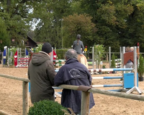 Reitturnier Diessen 2022