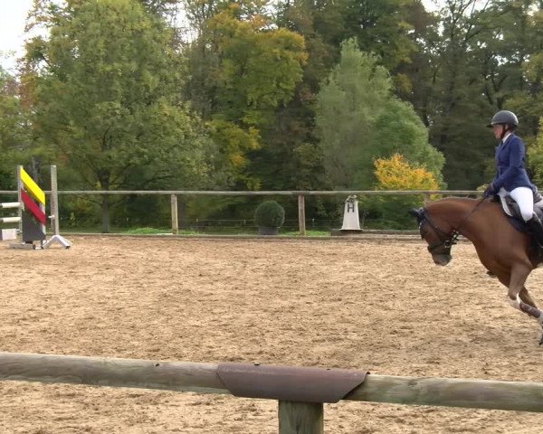 Reitturnier Diessen 2022