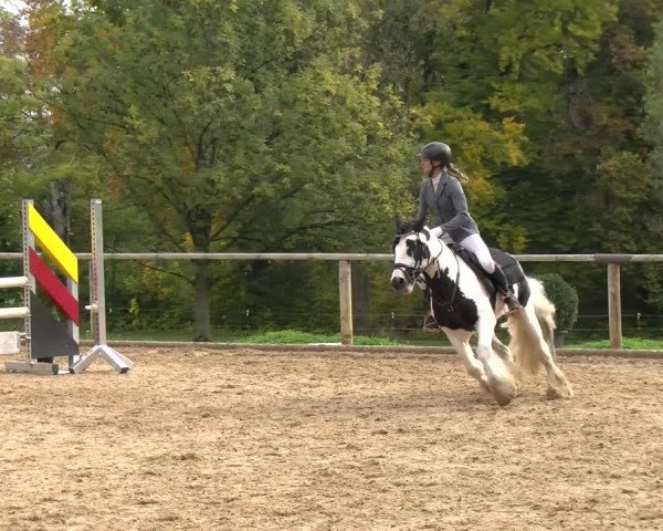 Reitturnier Diessen 2022