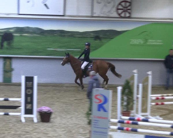 Reitturnier Legden 2022
