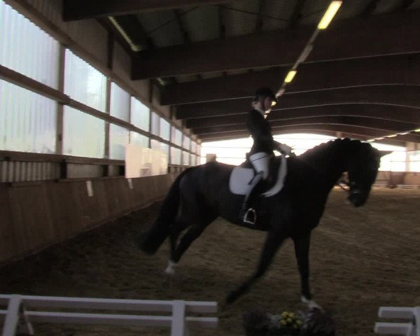 Reitturnier Werdohl-Rentrop 2022
