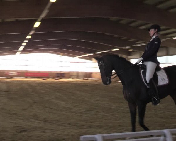 Reitturnier Werdohl-Rentrop 2022