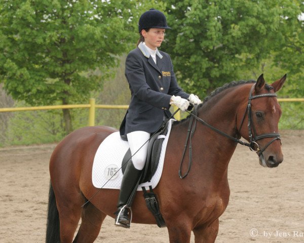 Dressurpferd Mighty Star 2 (Deutsches Reitpony, 2004, von Mighty) Dressurpferd Mighty Star 2 (Deutsches Reitpony, 2004, von Mighty)