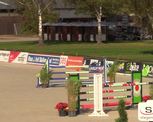 Reitturnier Westergellersen 2022