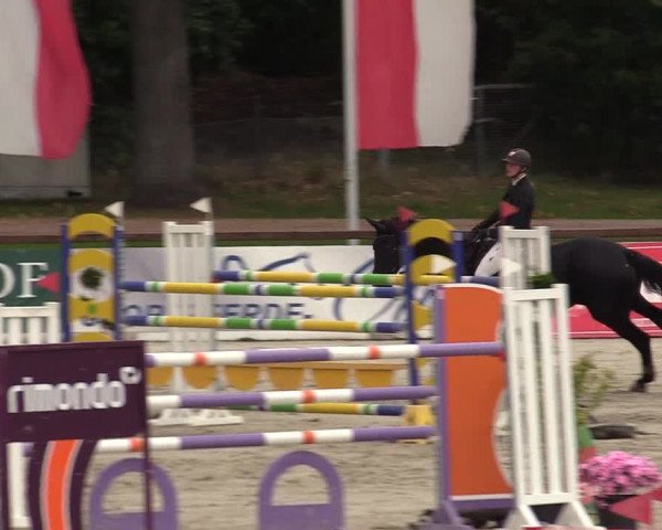 Reitturnier Westergellersen 2022