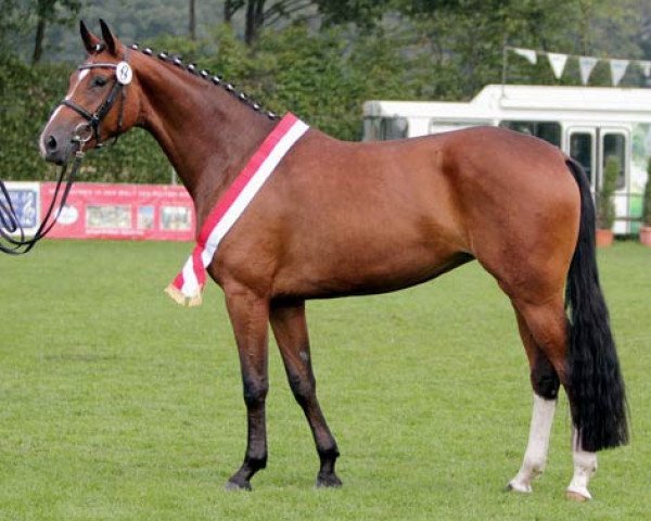 broodmare Florenciana F (Westphalian, 2008, from Florenciano 6)