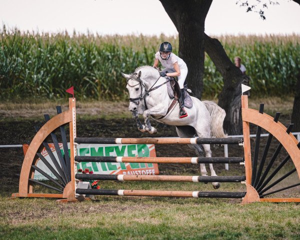 broodmare Charisma Dream (Oldenburg show jumper, 2015, from Chancenreich 2)