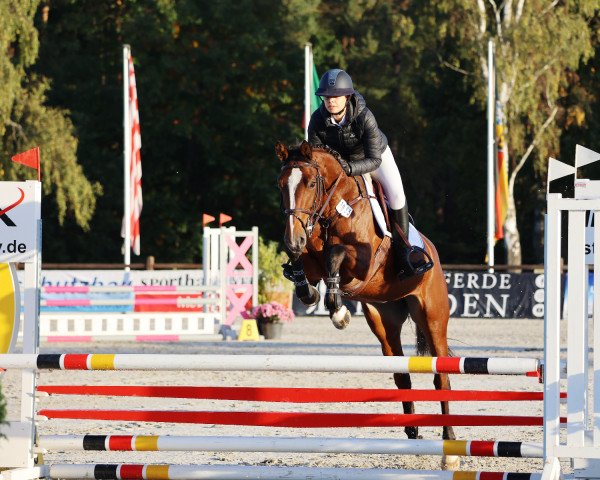 horse Lumina Million (Holsteiner, 2018, from Million Dollar)