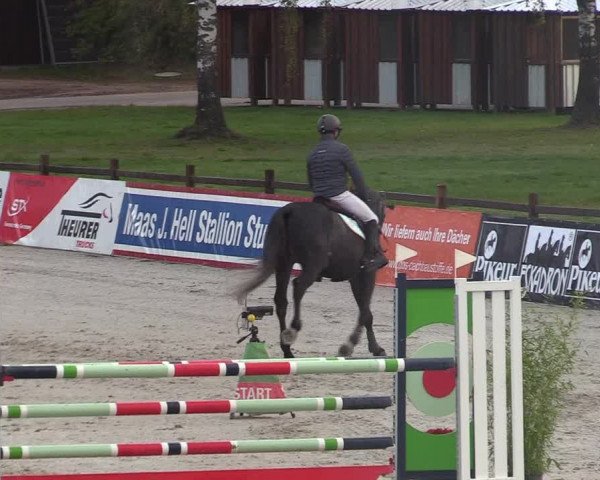 Reitturnier Westergellersen 2022