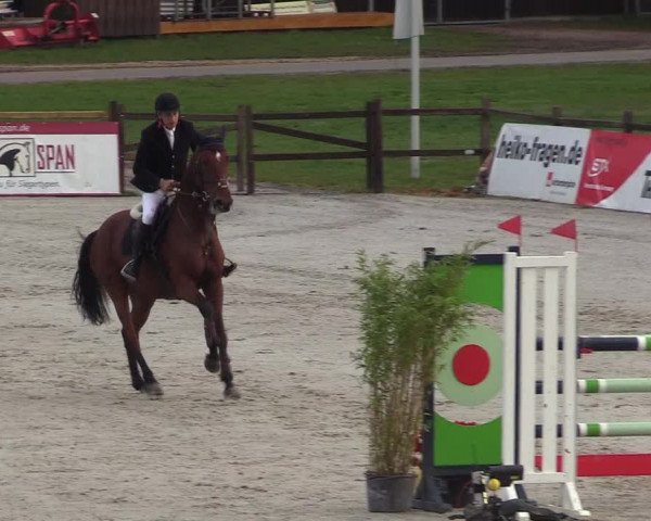 Reitturnier Westergellersen 2022