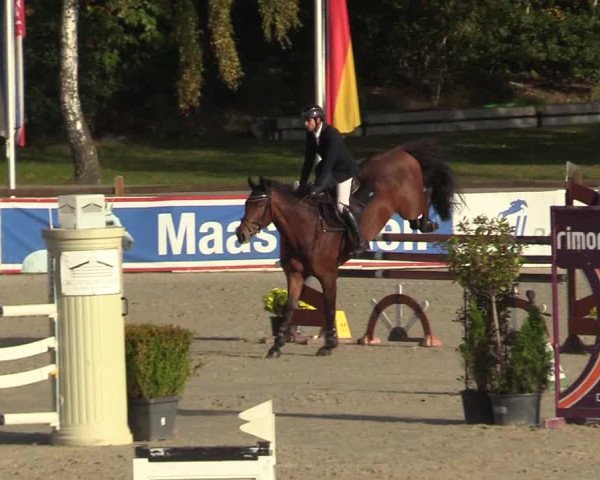 Reitturnier Westergellersen 2022