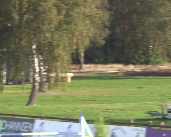 Reitturnier Westergellersen 2022