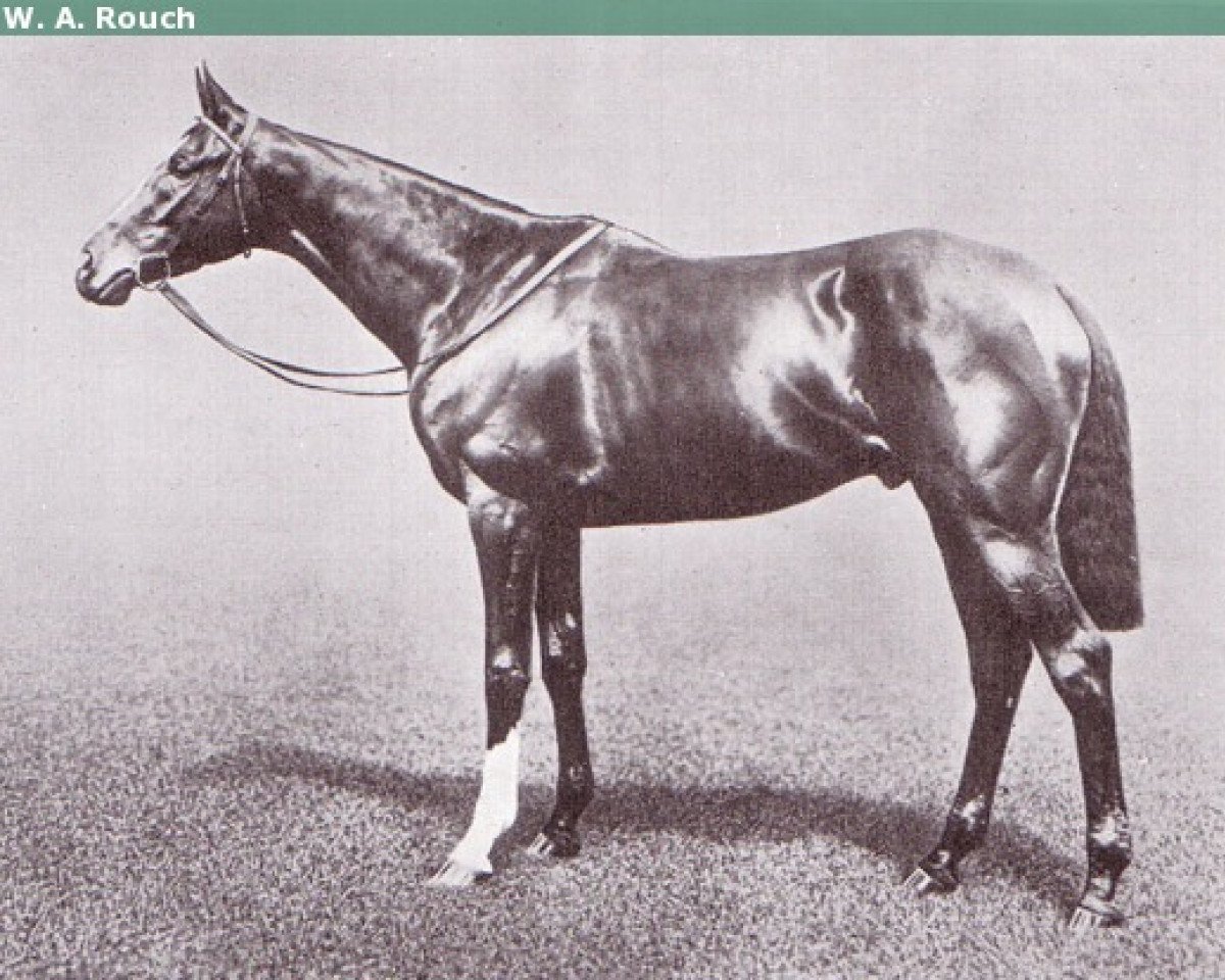 Deckhengst Spearmint xx (Englisches Vollblut, 1903, von Carbine xx)