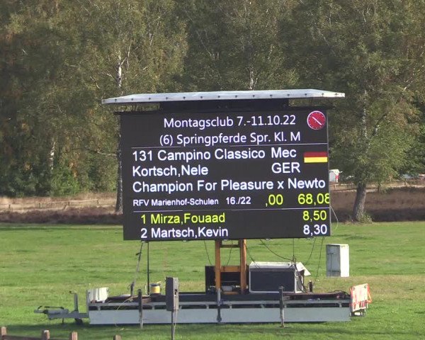 Reitturnier Westergellersen 2022
