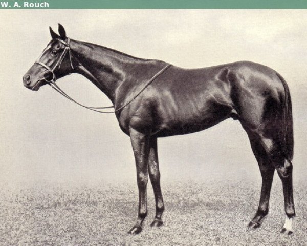 stallion Blenheim II xx (Thoroughbred, 1927, from Blandford xx)