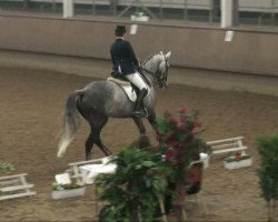 dressage horse De Luc (Oldenburg, 2002, from De Niro)