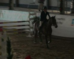 jumper Fashion 42 (Hanoverian, 2001, from For Feeling)