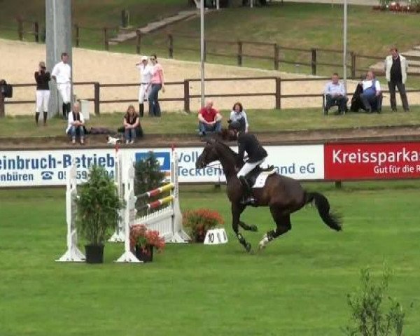 Springpferd Chico's Cordeur (Westfale, 2005, von Chico's Boy)