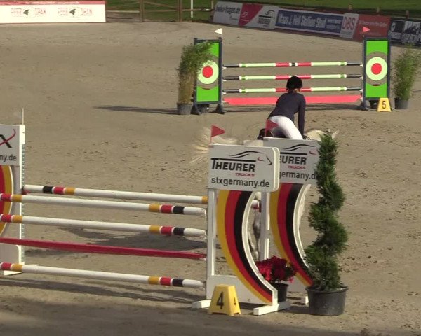 Reitturnier Westergellersen 2022