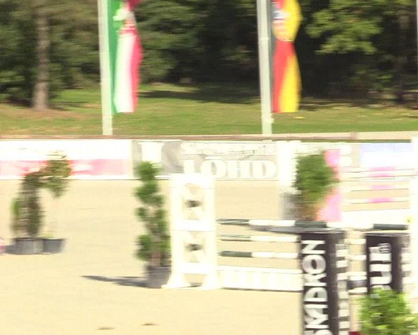Reitturnier Westergellersen 2022