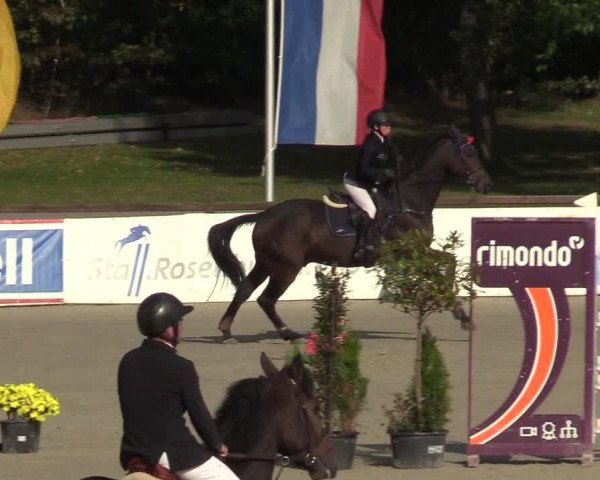 Reitturnier Westergellersen 2022