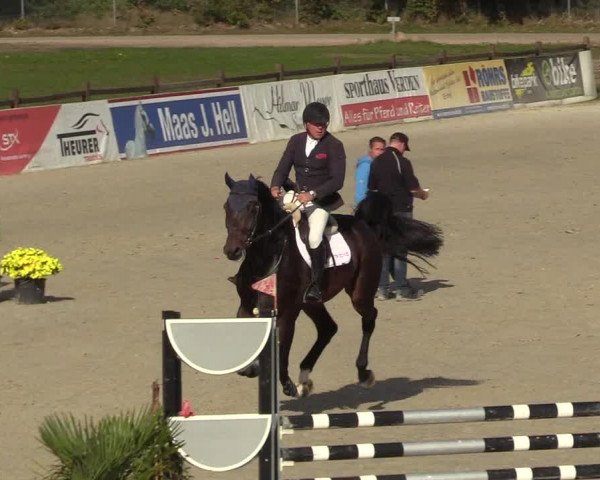 Reitturnier Westergellersen 2022
